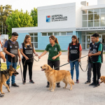 Gemini_Generated_Image_dgyerodgyerodgye